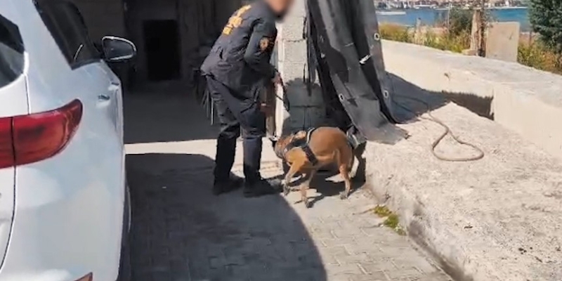 Bitlis’te uyuşturucu operasyonu: 5 kişi tutuklandı