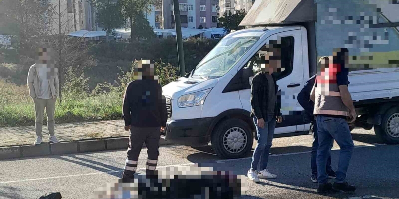 Ordu’da kamyonun çarptığı kadın hayatını kaybetti