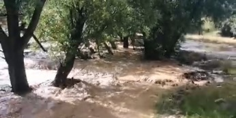 Mersin’de sağanak yağış sele neden oldu