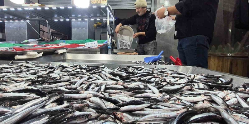 Karadeniz’de hamsi bollaştı, Bartın’da kilosu 50TL’ye düştü
