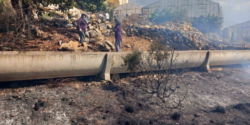 Gazipaşa’da zirai alanda yangın büyümeden söndürüldü