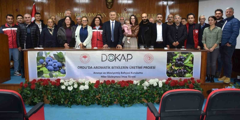 Ordu’da maviyemiş ve aronya üretim alanı 180 dekara ulaşıyor