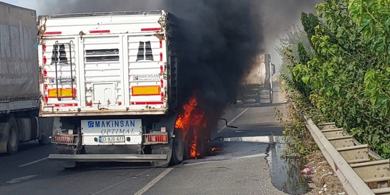 Şanlıurfa’da seyir halindeki tır alev aldı