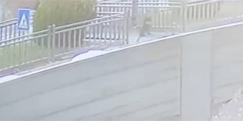 Yola fırlayan çocuk aracın altında kalmaktan son anda kurtuldu