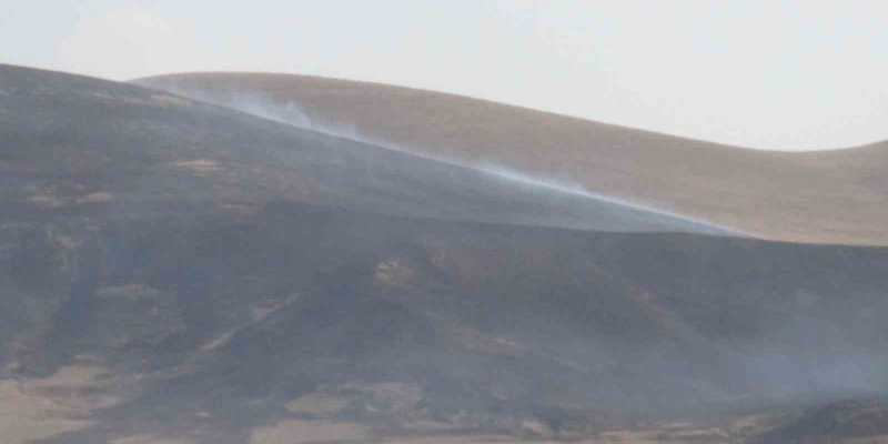Kars’ta anız yangını