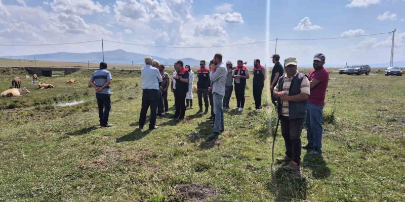 Kars’ta büyükbaş hayvanlar aşılanıyor
