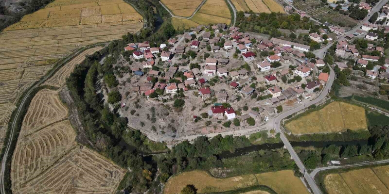 Coğrafi işaretli Tosya pirincinde susuzluk sebebiyle istenilen rekolteye ulaşılamadı