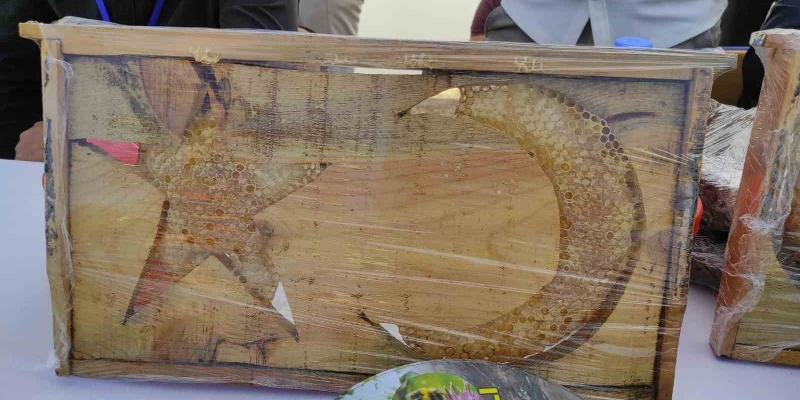 Sason’da ’ay yıldızlı’ arı kovanları yoğun ilgi görüyor