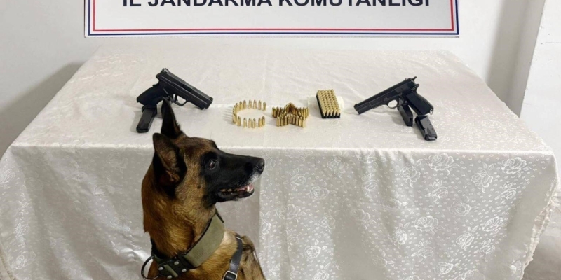 Şanlıurfa’da silah kaçakçılığı operasyonu: 8 gözaltı