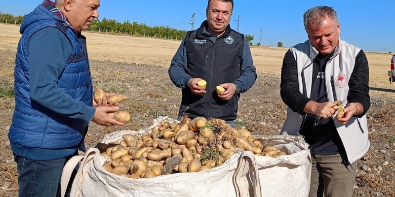 Beyşehir’de patates üreticisinin artan üretimle yüzü güldü