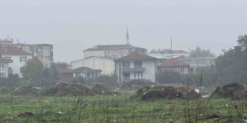 Sakarya’da sis etkili oluyor