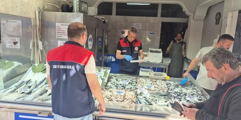 Düzce’de su ürünleri denetimi: Yasal boy altındaki 11 kasa balığa el konuldu