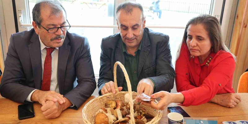 Mantarların gizemli dünyası anlatıldı