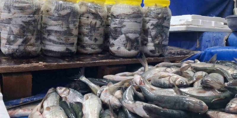 Van’da havaların soğumasıyla inci kefaline ilgi arttı