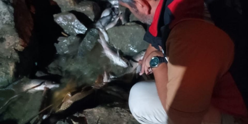 Ceyhan Nehri’ndeki kirlilikle ilgili numune alındı
