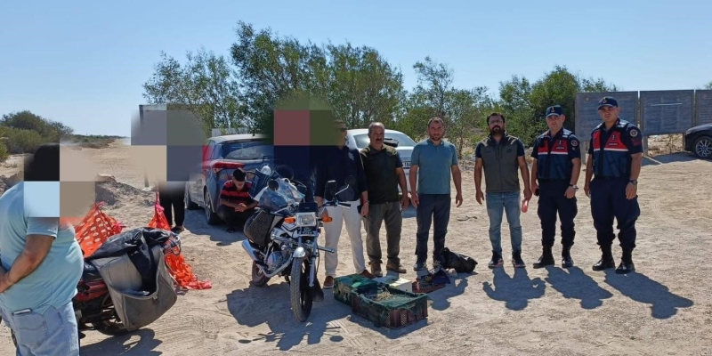 Mersin’de kaçak yırtıcı kuş avcılığı yapan 4 kişiye 143 bin lira ceza kesildi