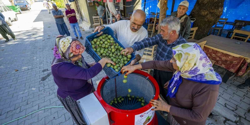 Mersin’de üreticiye ceviz soyma makinesi desteği