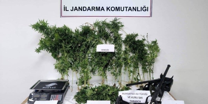 Tokat’ta jandarmadan eş zamanlı uyuşturucu operasyonu: 2 tutuklama