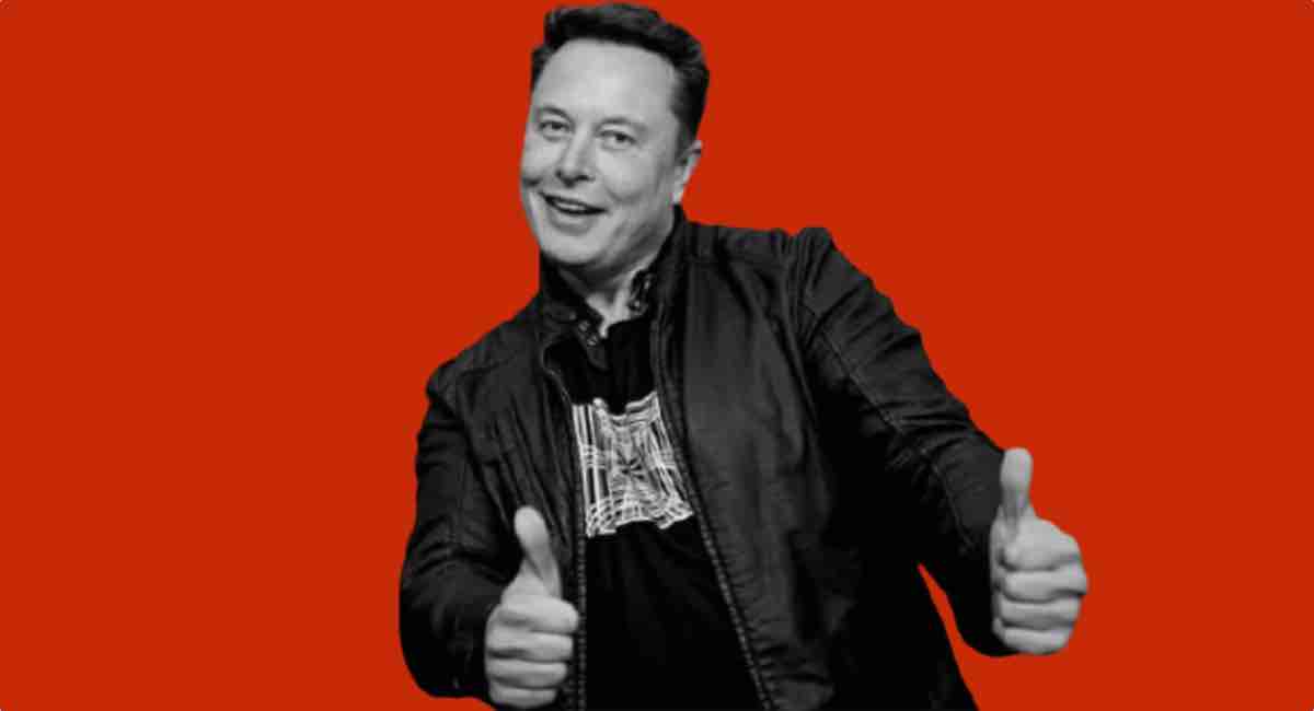 Elon Musk Servetini Kaçak Bir Zümrüt Madenine Mi Borçlu?