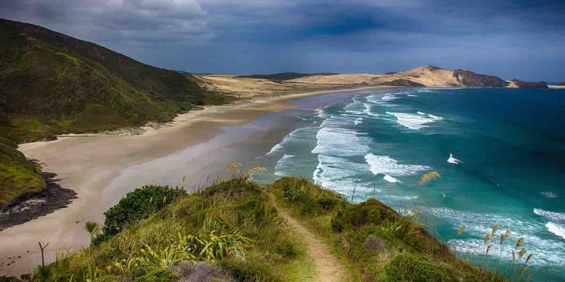 'Kayıp Sekizinci Kıta' Zelandiya Nasıl Haritalandı? Sonuçları Neler Olacak?