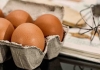 Yumurta İle İlgili Bilmeniz Gereken 4 Önemli Bilgi! 