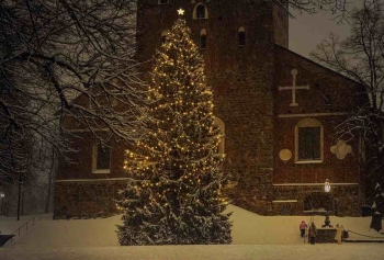 Norveç'in Hediye Ettiği Noel Ağacını İngilizler Bir Türlü Sevemedi!