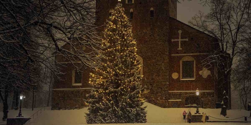 Norveç'in Hediye Ettiği Noel Ağacını İngilizler Bir Türlü Sevemedi!