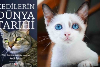 Say Yayınları'ndan Yeni Kitap! 'Kedilerin Dünya Tarihi'!