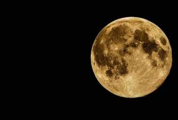 Rus Araştırmacıların Hedefi Ay'a Hayat Götürmek! 