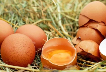 Yumurta Sadece İnsanlar İçin Değil Gezegenimiz İçin De Sağlıklı!