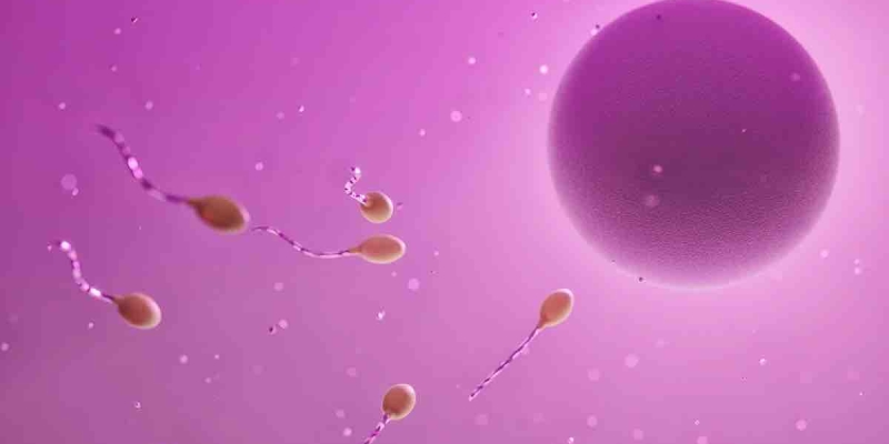 Bilimsel Verilen İçin Verilen Spermlerle İki Çocuk Doğurttu! 