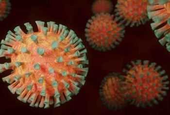 Genlerimizin Tümünü Eski Virüsler İstila Etti! 