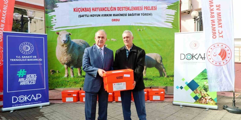 Ordu’da 150 koyun yetiştiricisine kırkım makine desteği