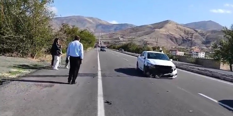 Elazığ’da otomobil köpeğe çarptı: 1 yaralı