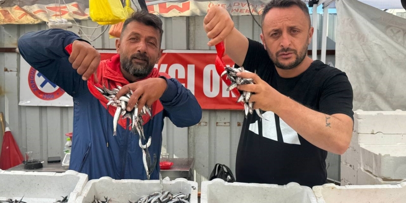 Hamsinin fiyatı 70 liraya indi, tezgahlar şenlendi