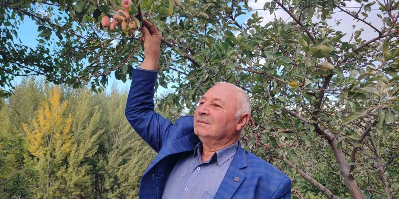 60 yaşındaki çiftçi: "İlk kez böyle bir şey görüyorum"