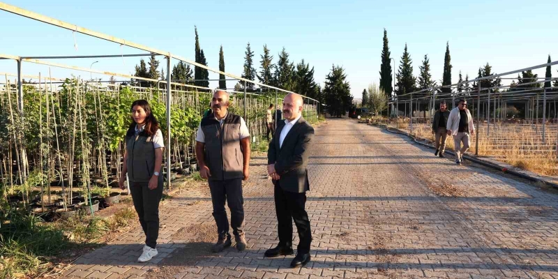 Vali Varol, orman fidanlığında incelemelerde bulundu