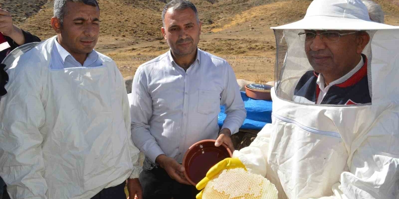 Siirt İl Tarım Müdürü Şanverdi: "Terörsüz Türkiye kapsamında dağlarımızda açacağımız yollar, bal üretimine büyük katkı sağlayacak"