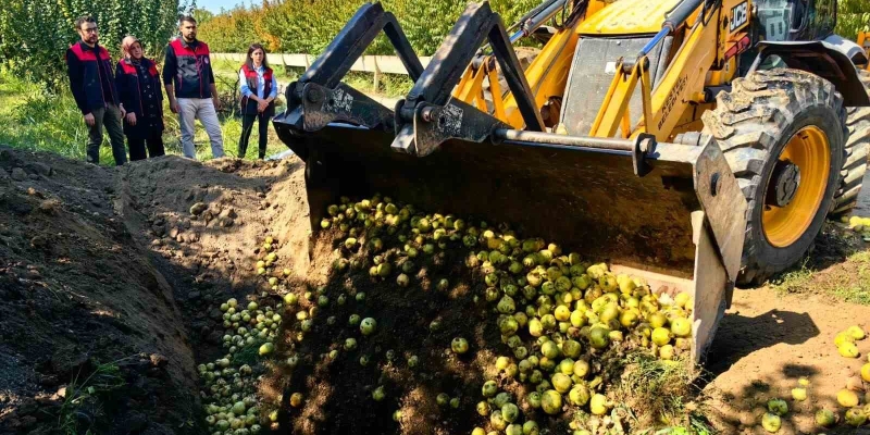 Bursa’da pestisite geçit yok