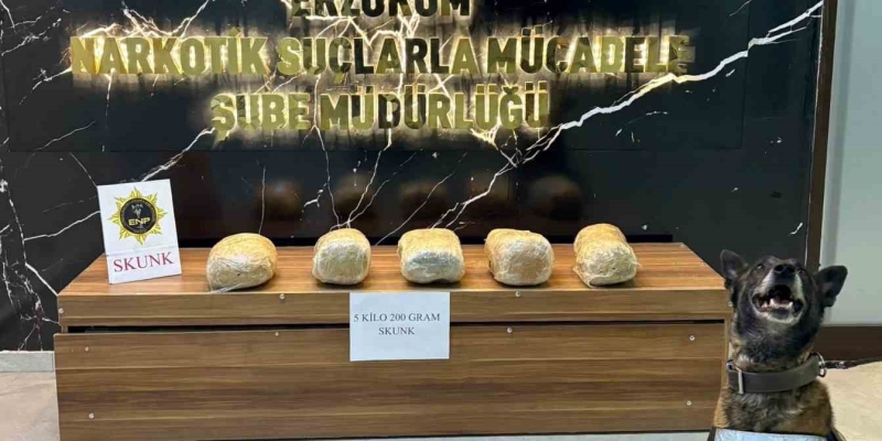 Erzurum’da 5 kilo 200 gram skunk maddesi ele geçirildi