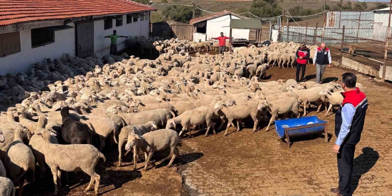 Tarım İl Müdürü Aksoy üreticinin sorunlarını yerinde dinledi