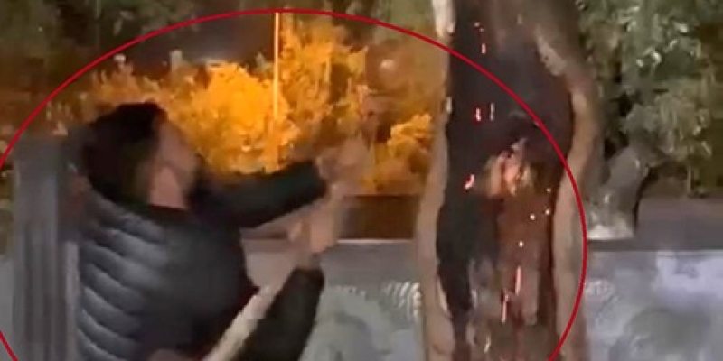 Yanan ağacı önce kesmeye çalıştı, sonra su kovası ve ibrikle söndürdü