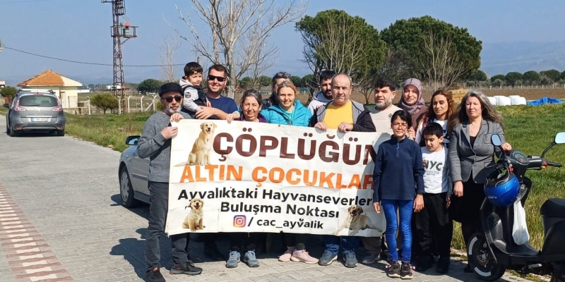 Ayvalık’ta hayvanseverler kuruyan ağaçların yerine yeni fidanlar dikti