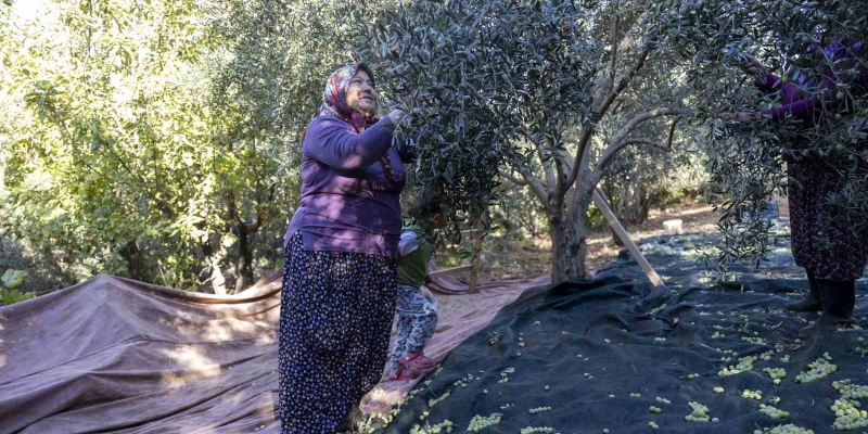 Mersin’de kadınlar üreterek güçleniyor