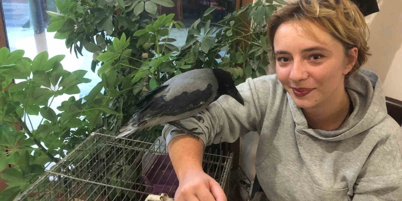 Kahvehane bağımlısı karga mahallenin maskotu haline geldi
