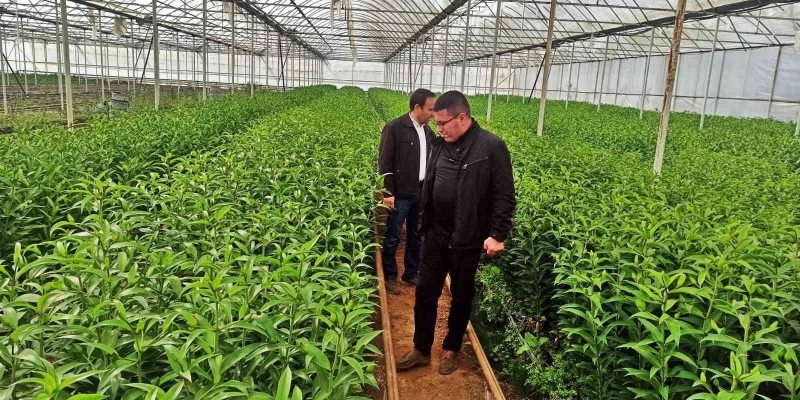 Emet’te üreticiler için Simav’daki seralara teknik gezi