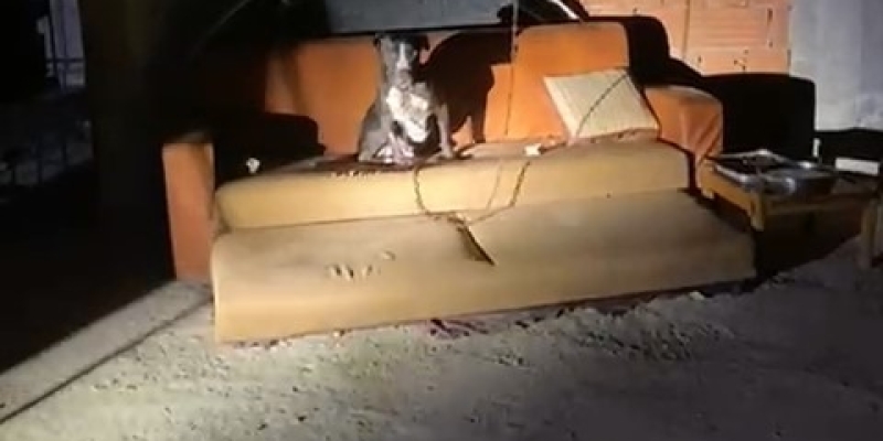 Panik yaşayan mahalle sakinleri konuştu