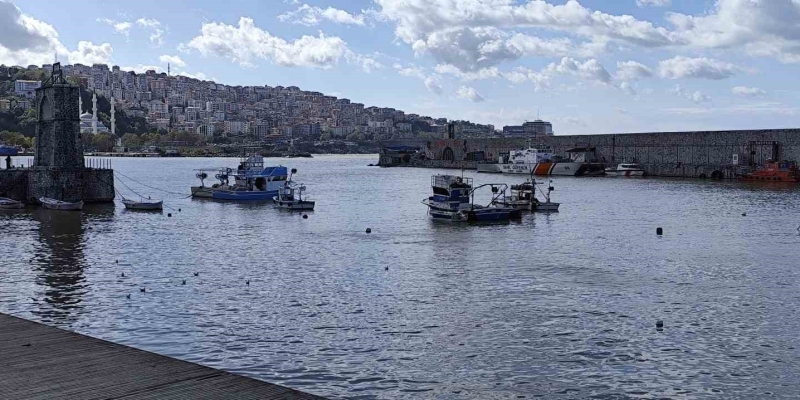 Zonguldak Limanı sarı renge boyandı