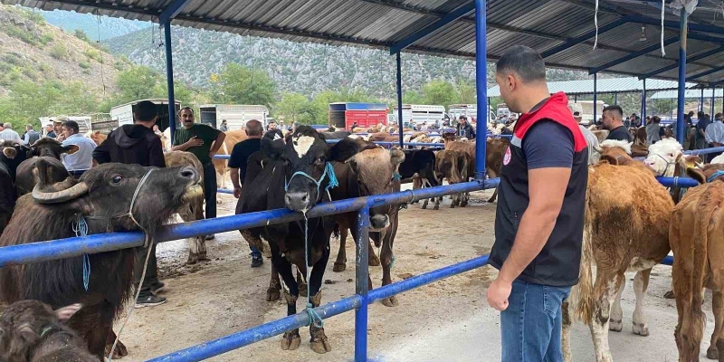 Hayvan pazarı şap hastalığı nedeniyle kapatıldı