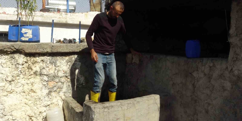 Batman’da bağbozumu heyecanı başladı